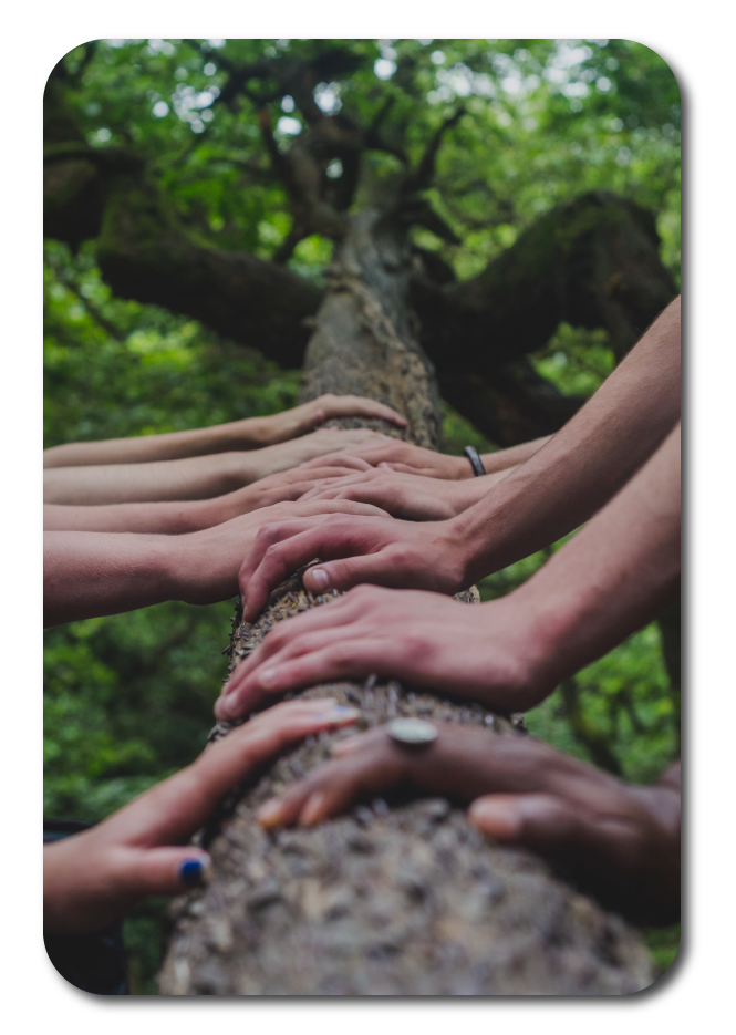 Hands on Tree