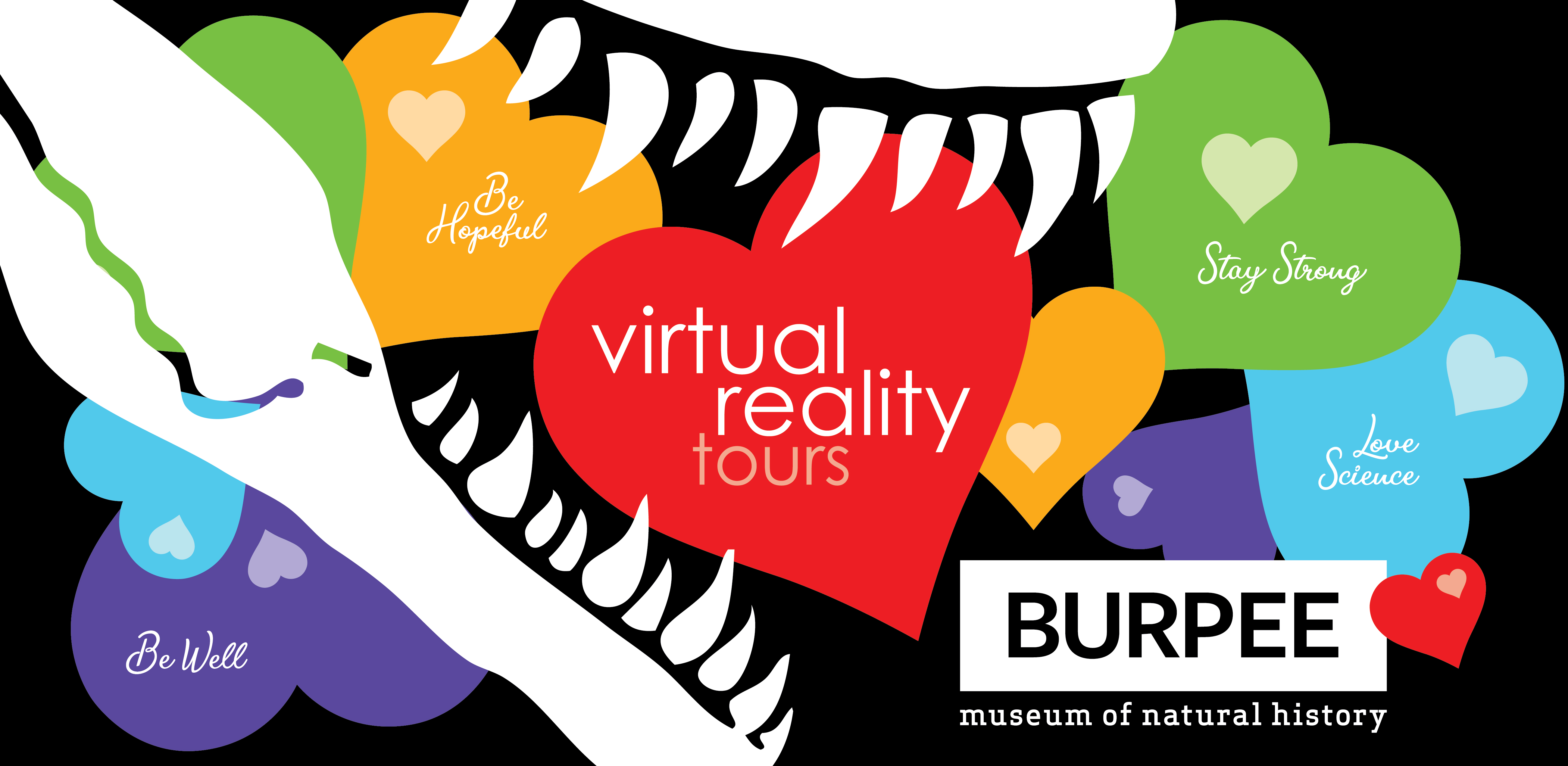 VR Tours