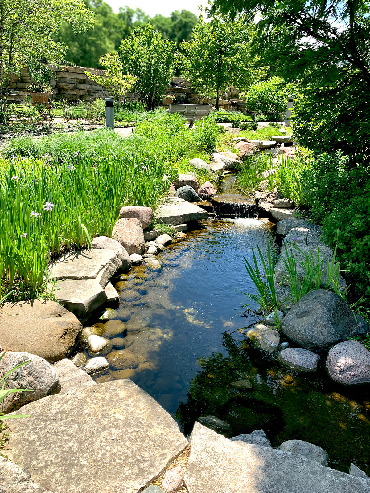 Creek Bed